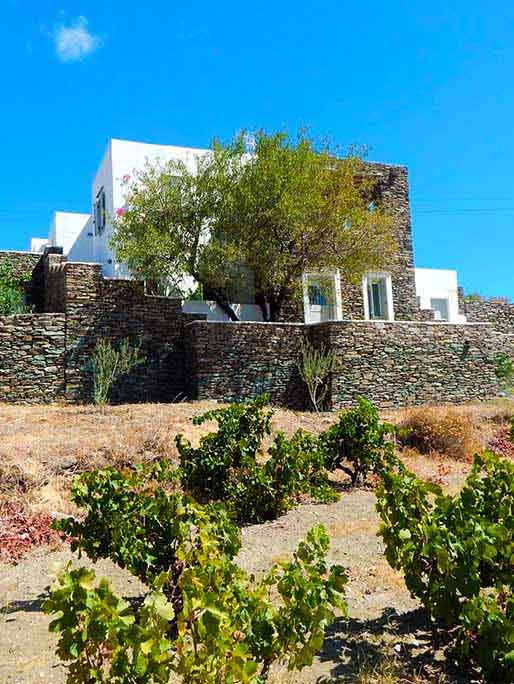 Κυκλαδίτικο σπίτι 4 ατόμων στη Σίφνο